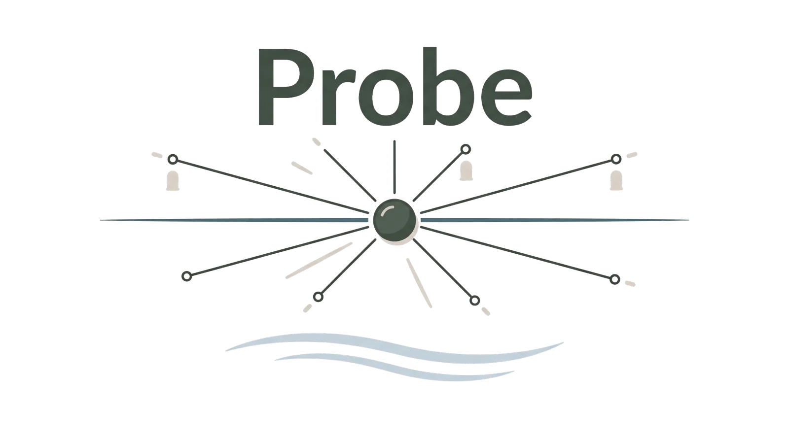 Probe